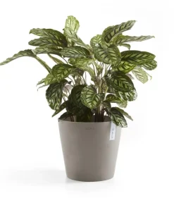 Ecopots kunststof bloempot amsterdam 30x26.3 cm taupe