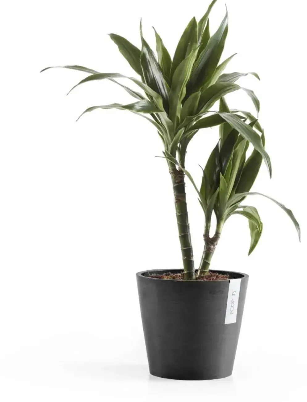 Ecopots kunststof bloempot amsterdam 20x17.7 cm donkergrijs