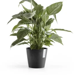 Ecopots kunststof bloempot amsterdam 20x17.7 cm donkergrijs
