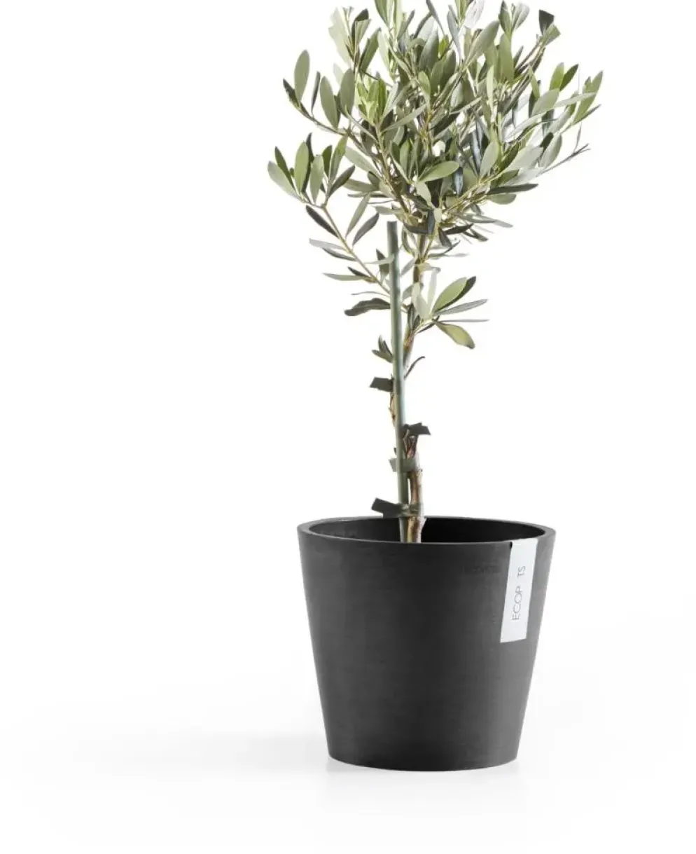 Ecopots kunststof bloempot amsterdam 20x17.7 cm donkergrijs