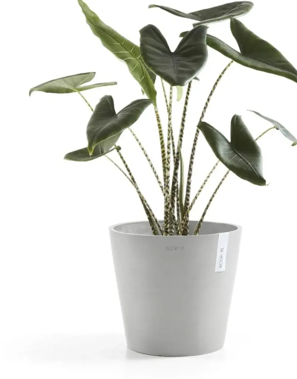 Ecopots kunststof bloempot amsterdam 25x22 cm witgrijs