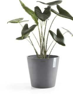 Ecopots kunststof bloempot amsterdam 30x26.3 cm grijs