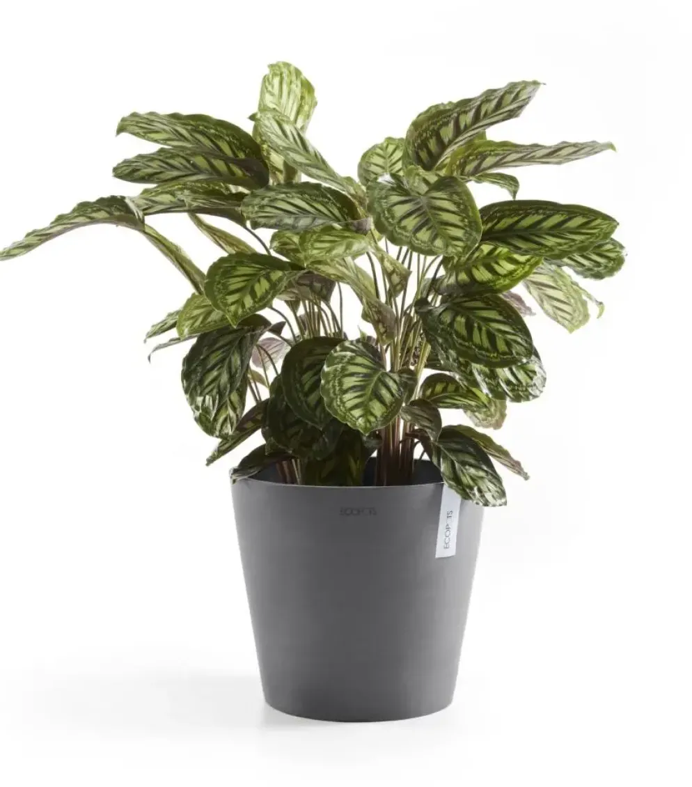 Ecopots kunststof bloempot amsterdam 40x35 cm grijs