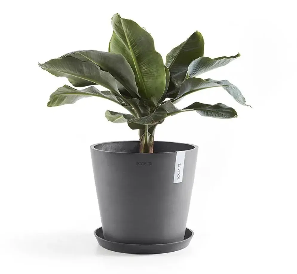 Ecopots kunststof bloempot amsterdam 40x35 cm grijs