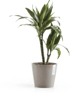Ecopots kunststof bloempot amsterdam 20x17.7 cm taupe