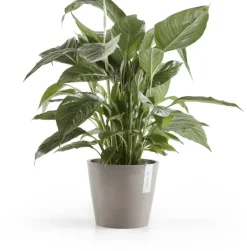 Ecopots kunststof bloempot amsterdam 20x17.7 cm taupe