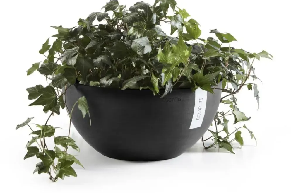 Ecopots kunststof bloempot brussels 25x12 cm donkergrijs