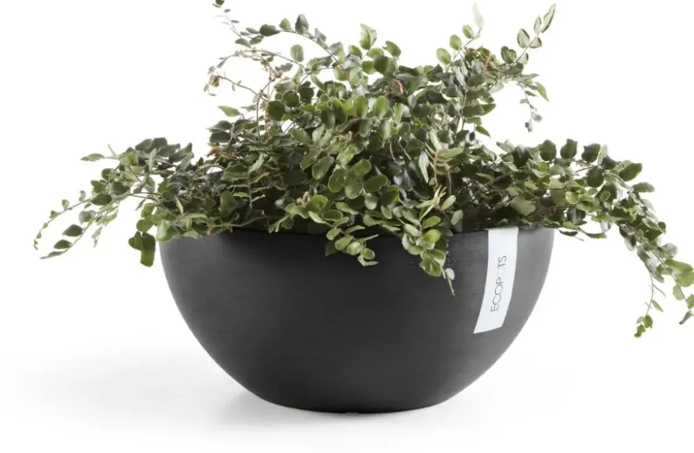 Ecopots kunststof bloempot brussels 25x12 cm donkergrijs