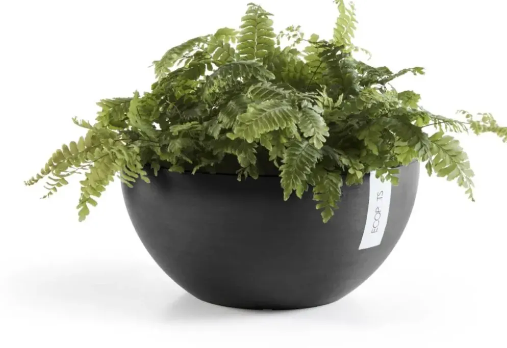 Ecopots kunststof bloempot brussels 25x12 cm donkergrijs
