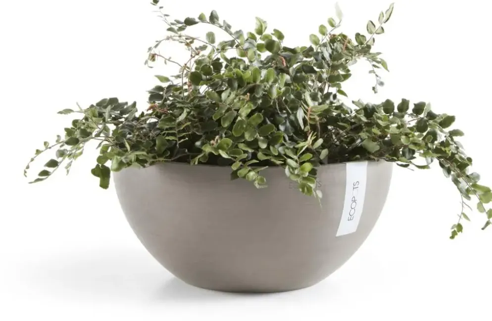 Ecopots kunststof bloempot brussels 30x14 cm taupe