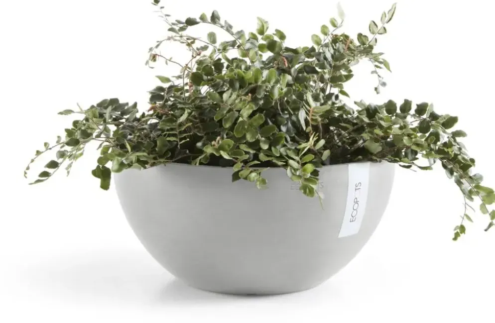 Ecopots kunststof bloempot brussels 25x12 cm witgrijs