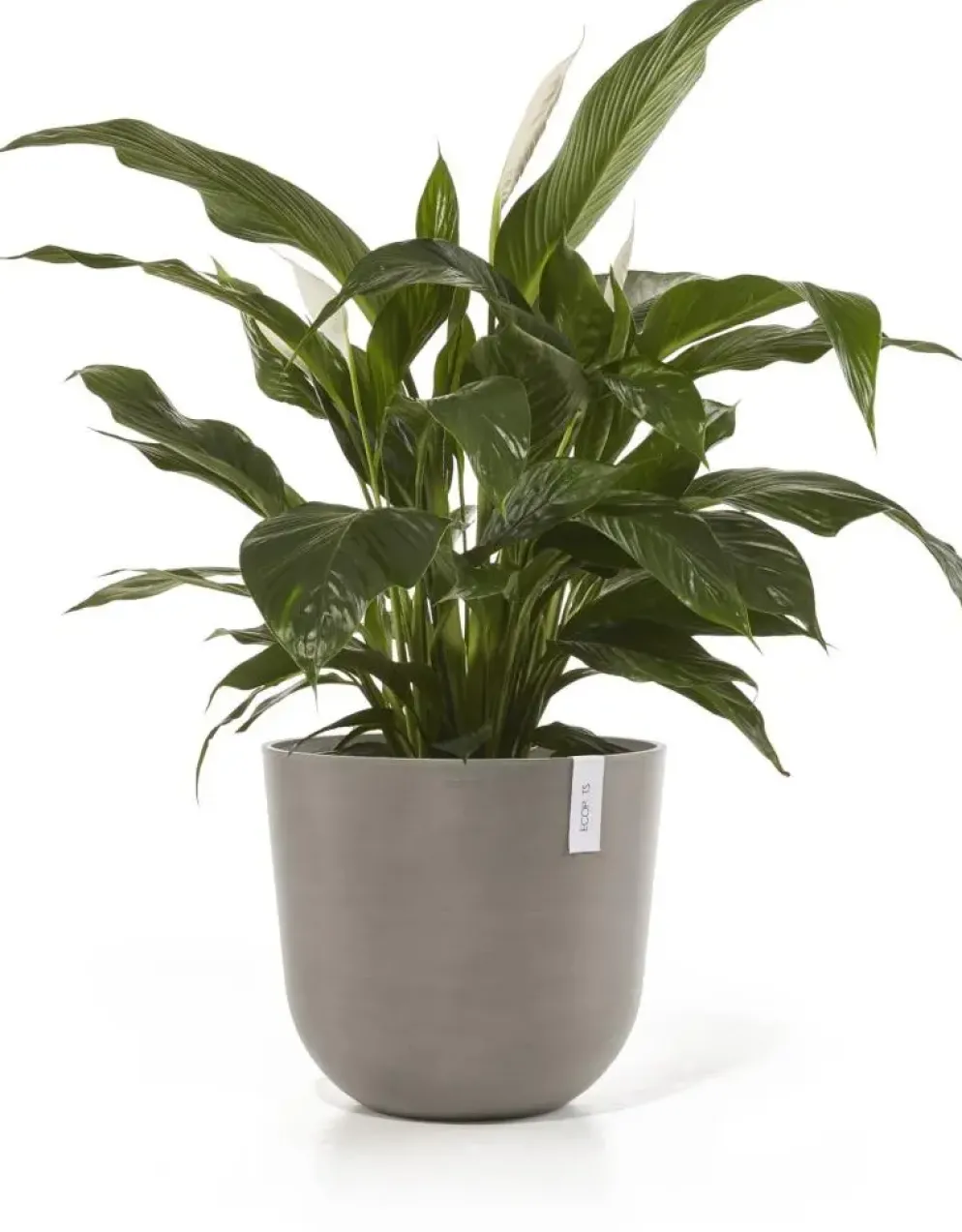 Ecopots kunststof bloempot oslo 45x39.2 cm taupe