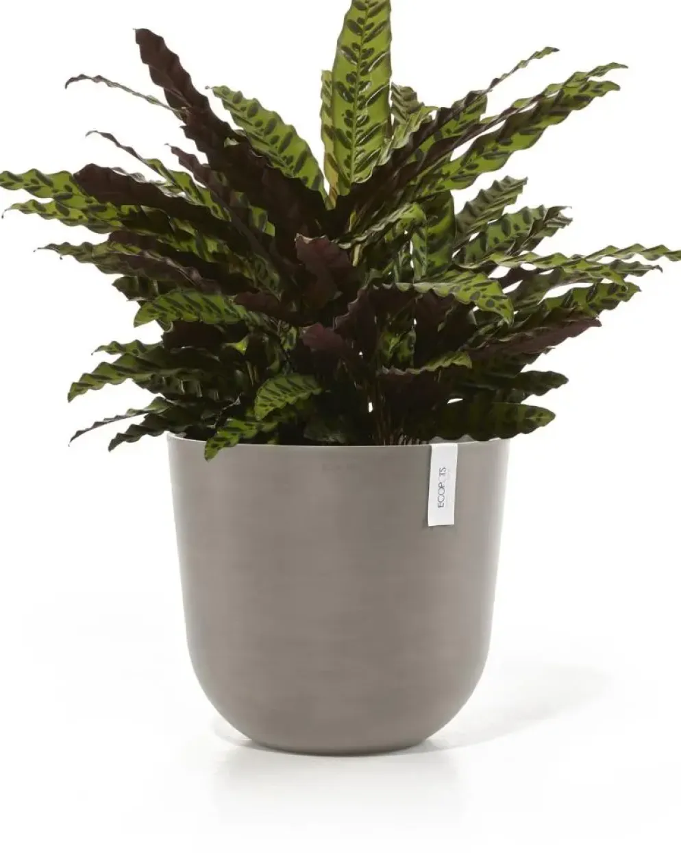 Ecopots kunststof bloempot oslo 45x39.2 cm taupe