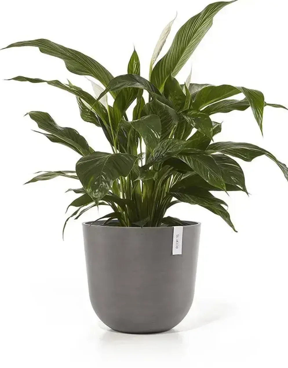 Ecopots kunststof bloempot oslo 45x39.2 cm taupe