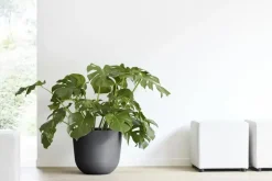 Ecopots kunststof bloempot oslo 45x39.2 cm donkergrijs