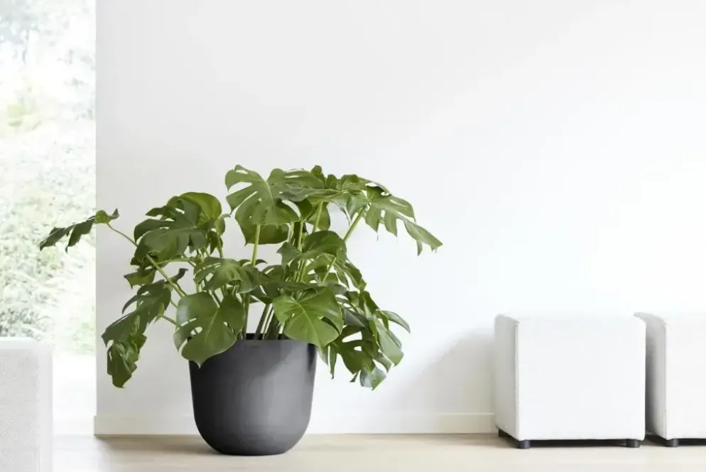 Ecopots kunststof bloempot oslo 45x39.2 cm donkergrijs