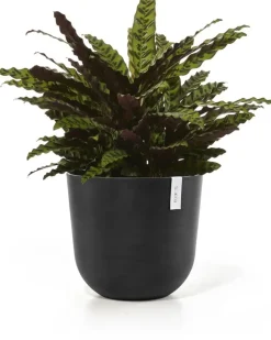 Ecopots kunststof bloempot oslo 45x39.2 cm donkergrijs
