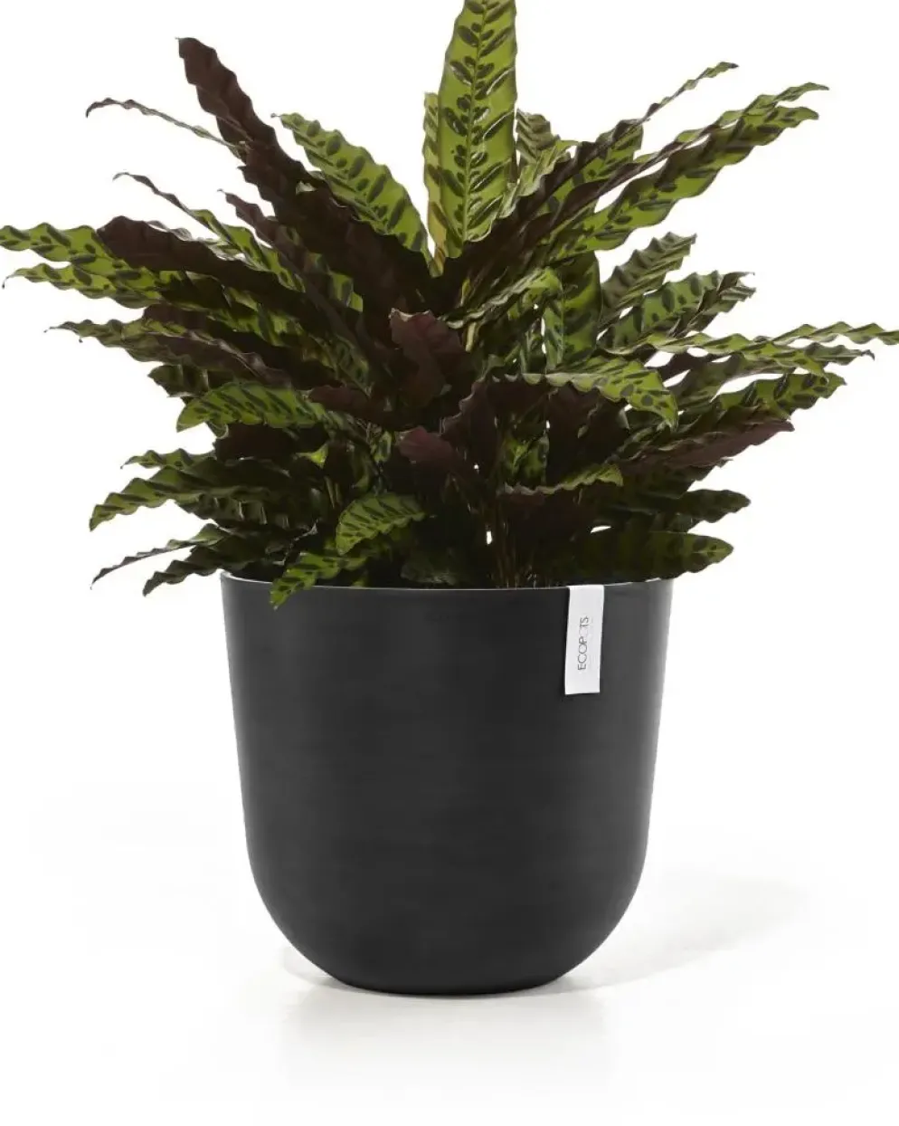 Ecopots kunststof bloempot oslo 45x39.2 cm donkergrijs
