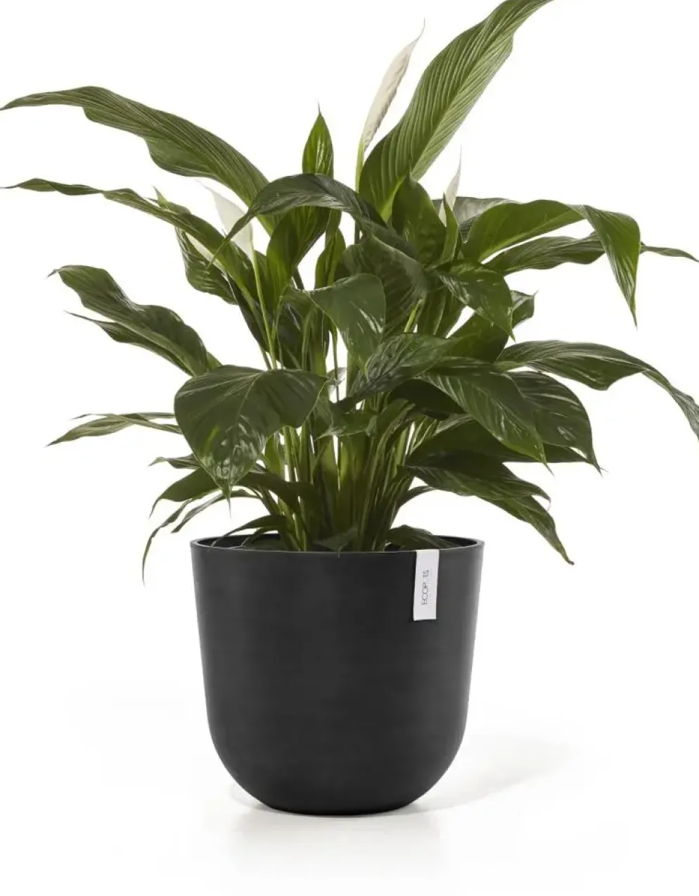 Ecopots kunststof bloempot oslo 45x39.2 cm donkergrijs