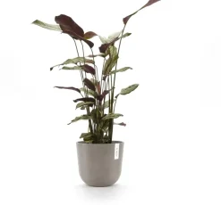 Ecopots kunststof bloempot oslo 25x21.8 cm taupe