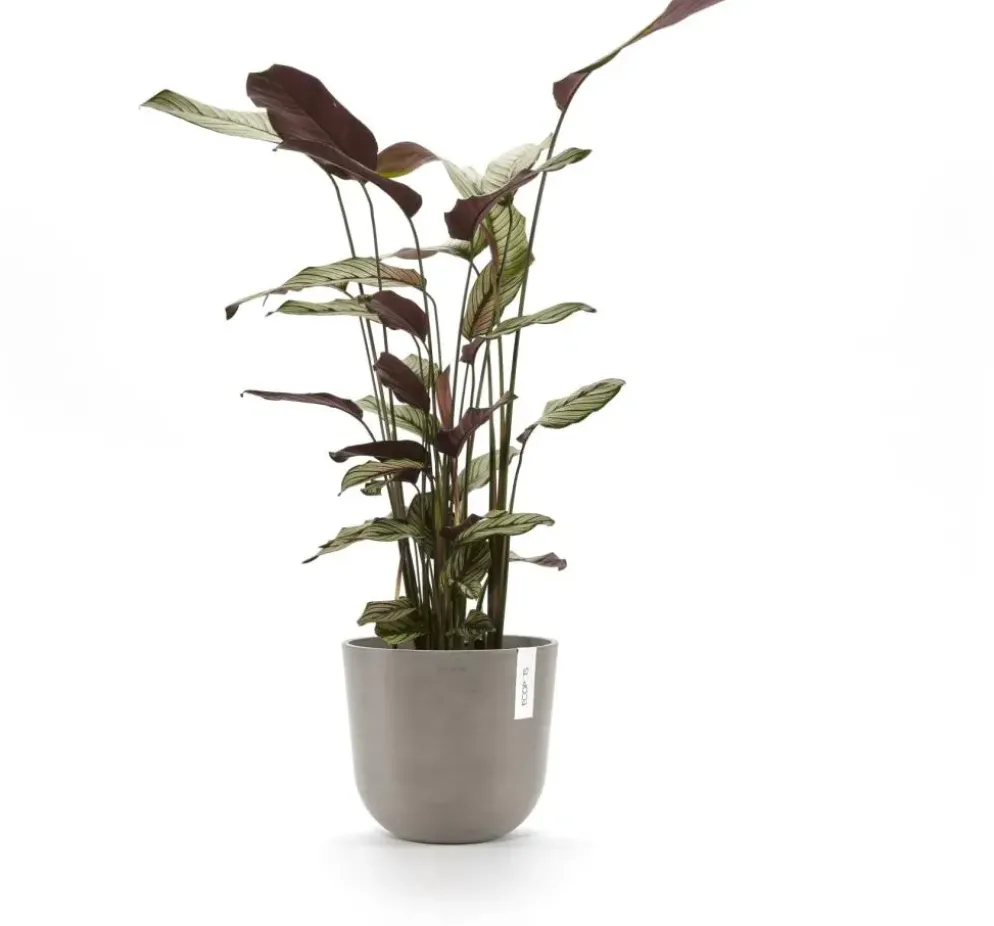 Ecopots kunststof bloempot oslo 25x21.8 cm taupe