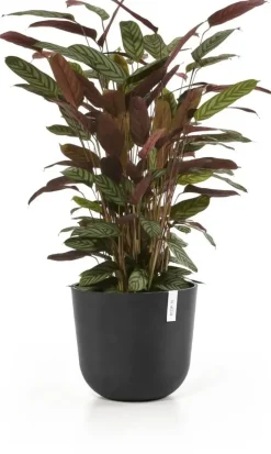 Ecopots kunststof bloempot oslo 35x30.5 cm donkergrijs