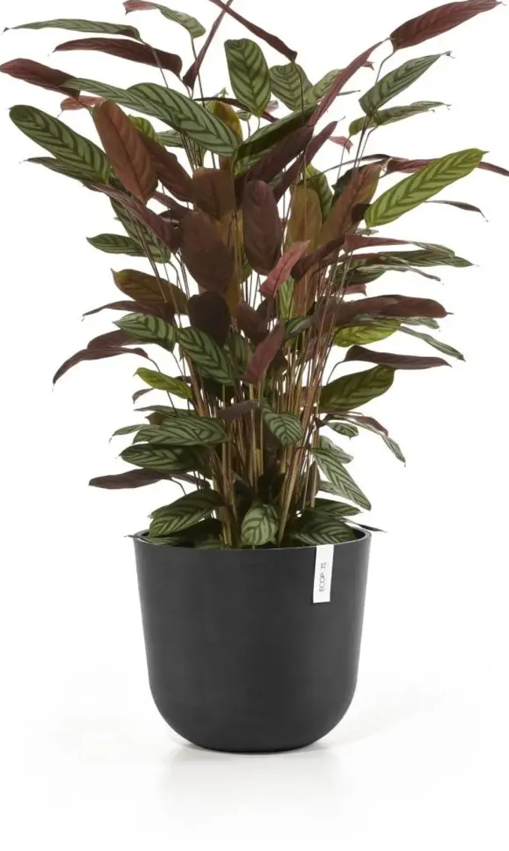 Ecopots kunststof bloempot oslo 35x30.5 cm donkergrijs