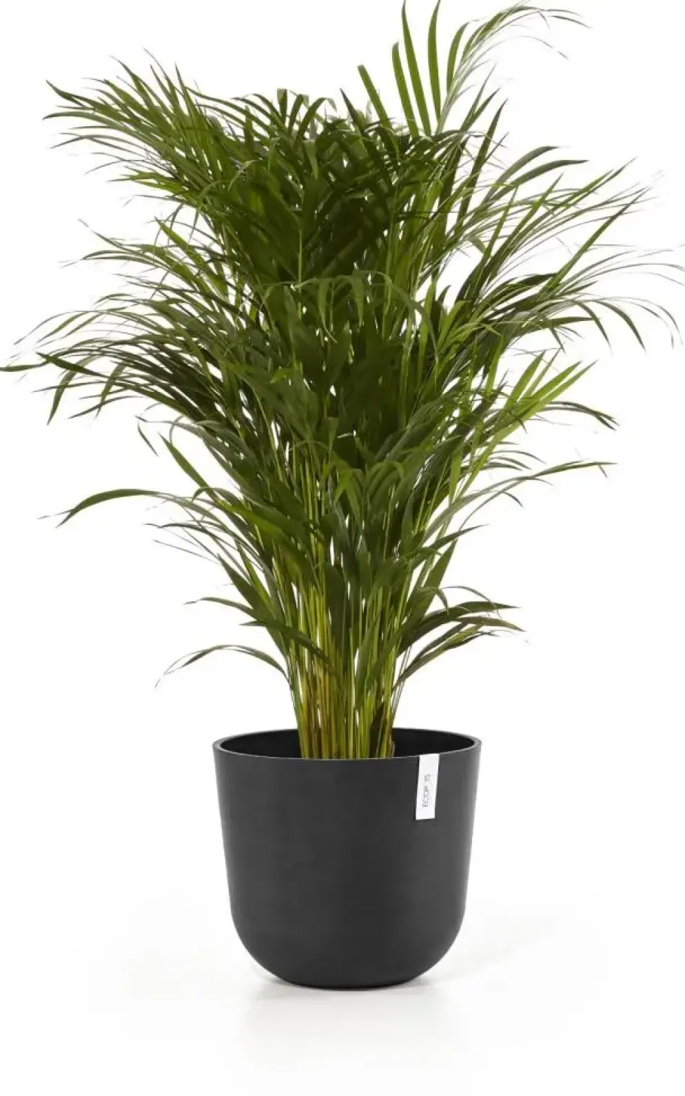 Ecopots kunststof bloempot oslo 35x30.5 cm donkergrijs