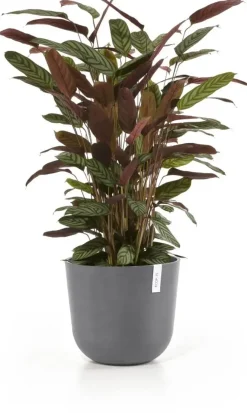Ecopots kunststof bloempot oslo 35x30.5 cm grijs