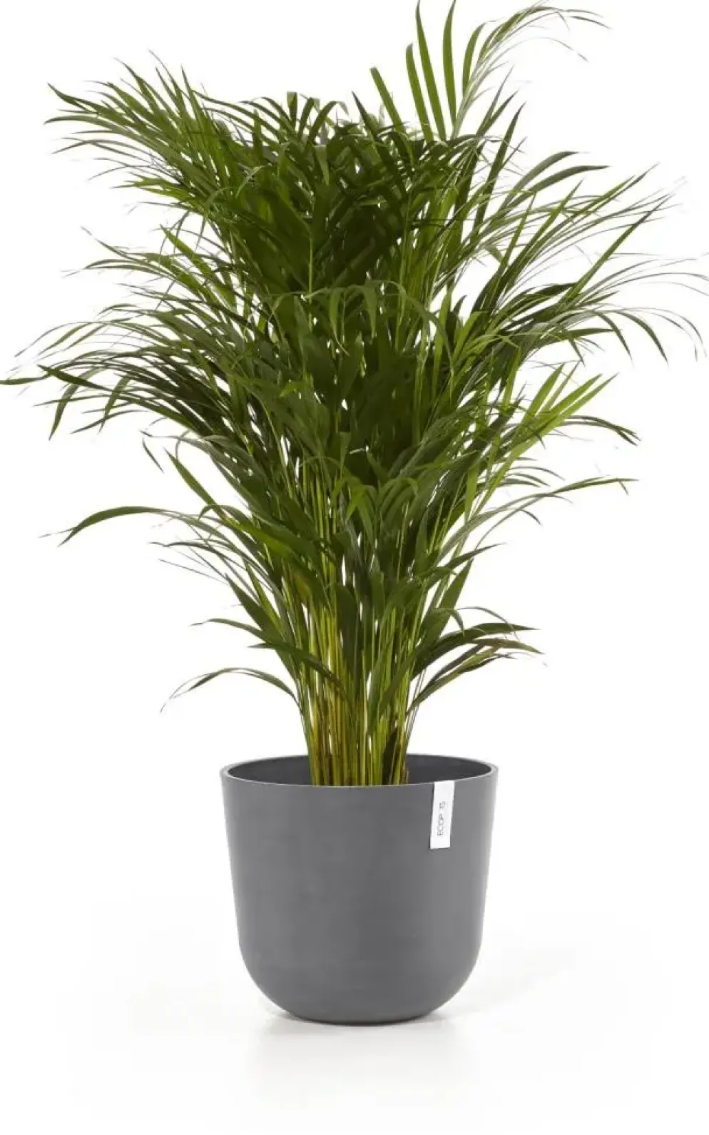 Ecopots kunststof bloempot oslo 35x30.5 cm grijs