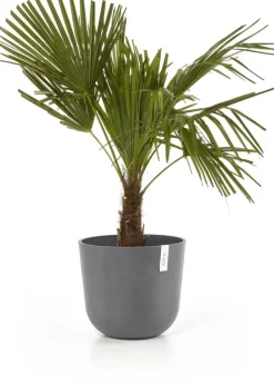 Ecopots kunststof bloempot oslo 35x30.5 cm grijs