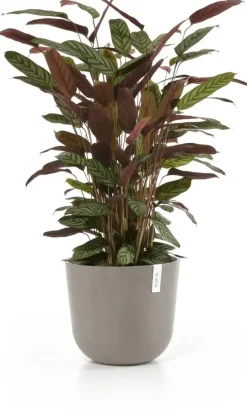 Ecopots kunststof bloempot oslo 35x30.5 cm taupe