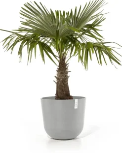 Ecopots kunststof bloempot oslo 55x48.5 cm grijs