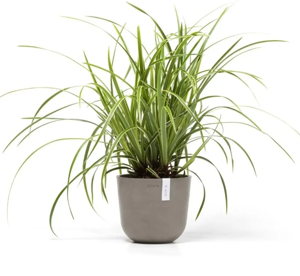 Ecopots kunststof bloempot oslo 19x16.5 cm taupe