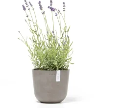 Ecopots kunststof bloempot oslo 19x16.5 cm taupe
