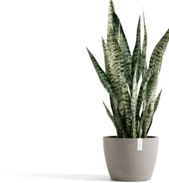 Ecopots kunststof bloempot stockholm 23.3x17.6 cm taupe