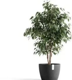 Ecopots kunststof bloempot stockholm 31x23.5 cm donkergrijs