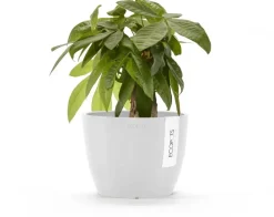 Ecopots kunststof bloempot stockholm 16.2x12 cm puurwit