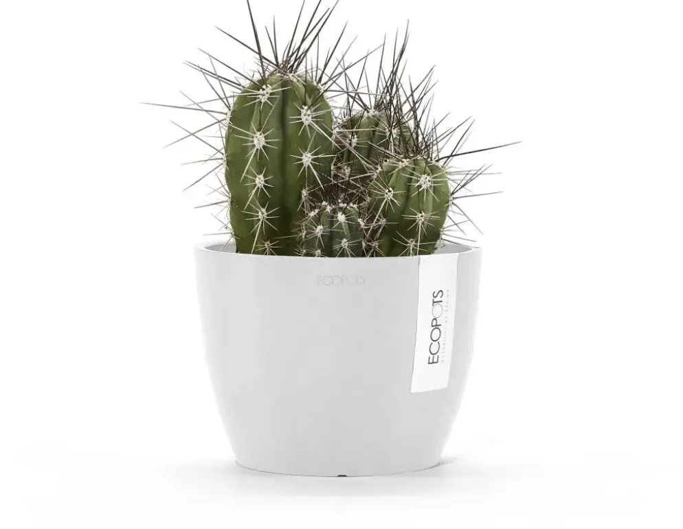 Ecopots kunststof bloempot stockholm 16.2x12 cm puurwit