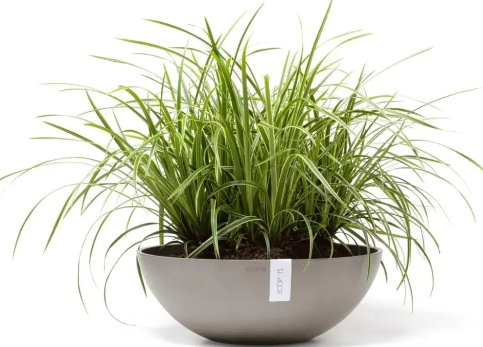 Ecopots kunststof bloempot vienna 50x18 cm taupe