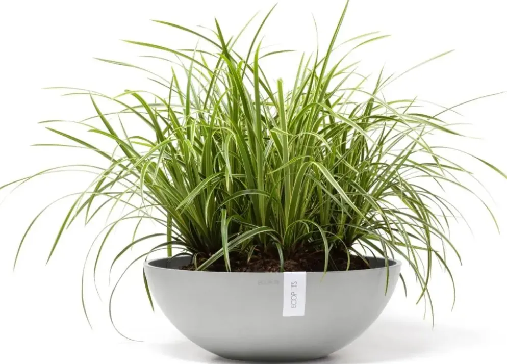 Ecopots kunststof bloempot vienna 50x18 cm witgrijs