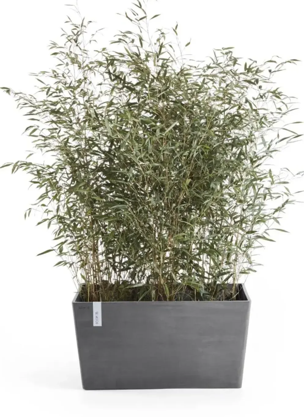 Ecopots kunststof plantenbak paris 80x38x40.5cm grijs