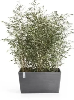 Ecopots kunststof plantenbak paris 80x38x40.5cm grijs