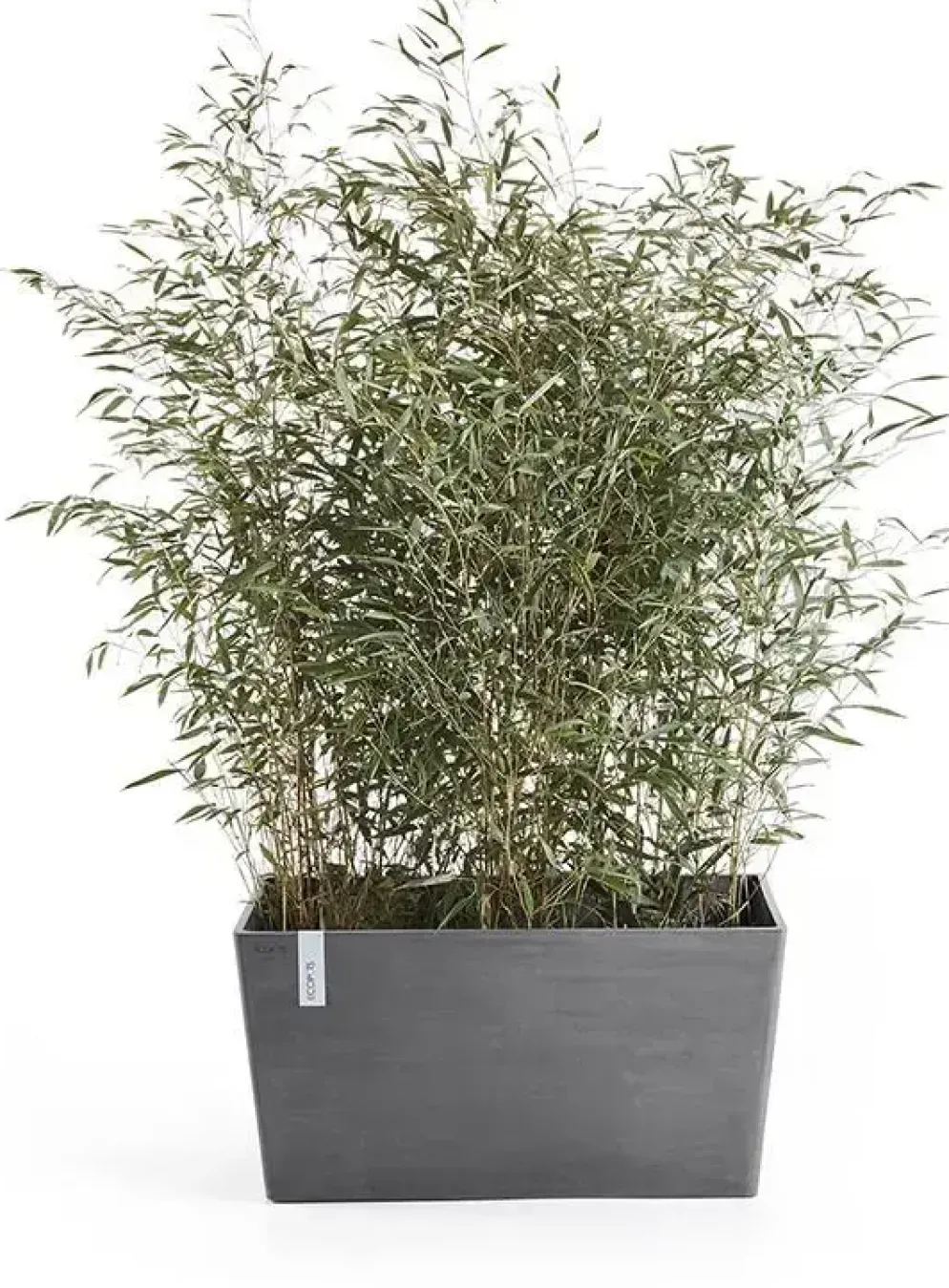 Ecopots kunststof plantenbak paris 80x38x40.5cm grijs