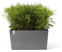 Ecopots kunststof plantenbak paris met wielen 100.5x39.6x51.8cm grijs