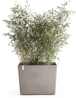 Ecopots kunststof plantenbak paris met wielen 85.2x39.5x6.8cm taupe