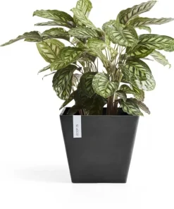 Ecopots kunststof plantenbak rotterdam 30x30x26 cm donkergrijs