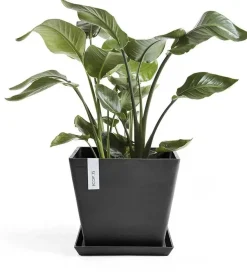 Ecopots kunststof plantenbak rotterdam 30x30x26 cm donkergrijs