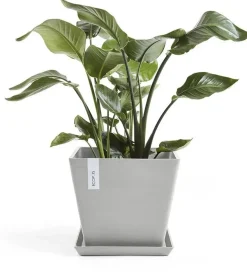Ecopots kunststof plantenbak rotterdam 30x30x26 cm witgrijs