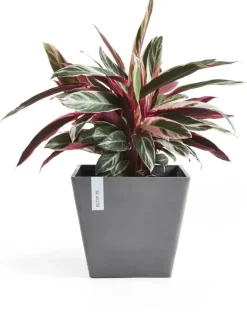 Ecopots kunststof plantenbak rotterdam 40x40x35 cm grijs